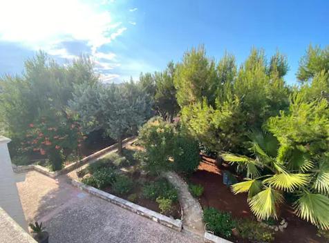 Villa Adelaide Ceglie Messapica Dış mekan fotoğraf